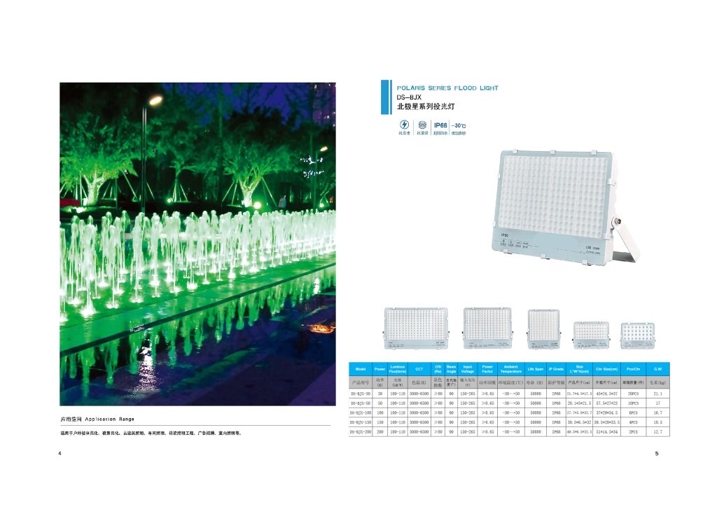 LED flood lights-DS-BJX